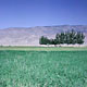 Landscapes
