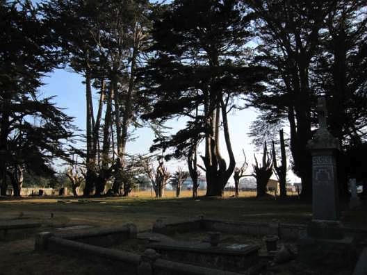 ebgrave5