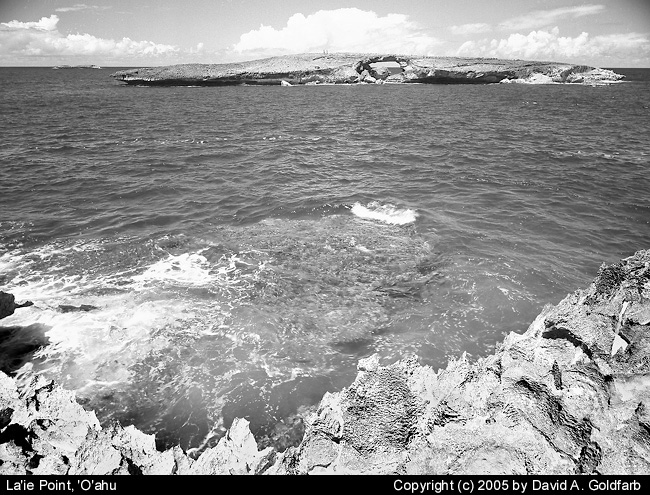 La'ie Point, 'O'ahu