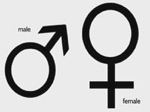 sex2.jpg