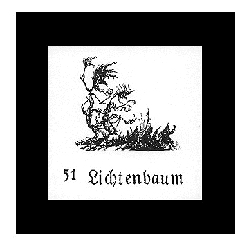 Image: Lichtenbaum