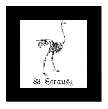 Image: Strausz
